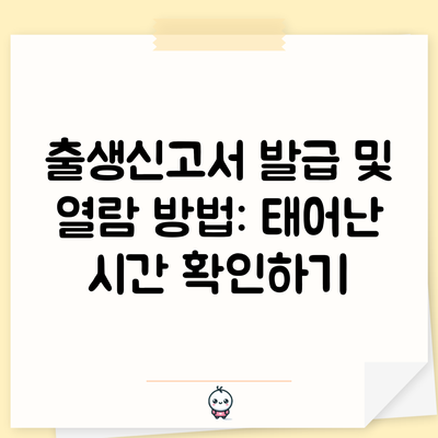 출생신고서 발급 및 열람 방법: 태어난 시간 확인하기