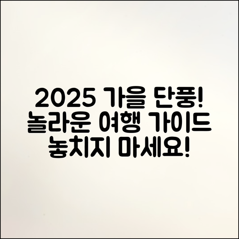 놀라운 2025 가을 단풍 여행 가이드
