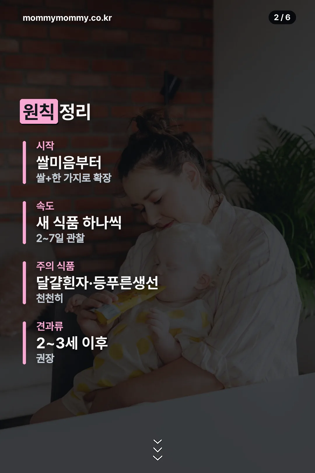 진행 원칙