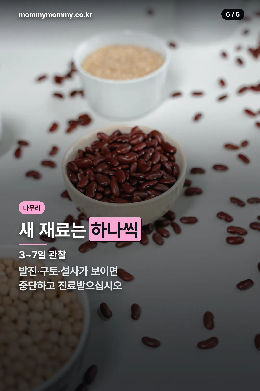 알레르기 확인 원칙