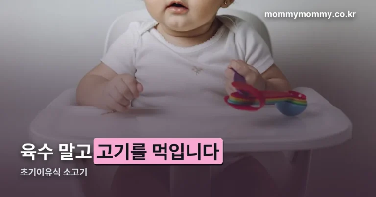 초기이유식 소고기 — 육수 말고 고기를 먹여야 하는 이유