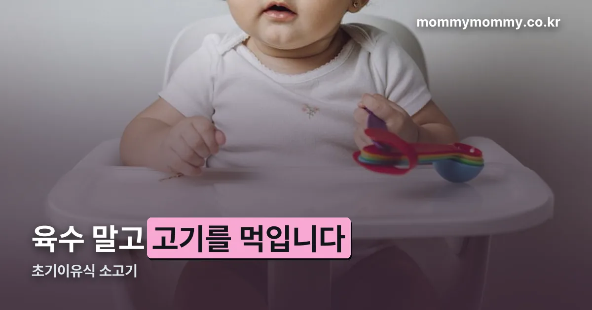 초기이유식 소고기 정리 썸네일