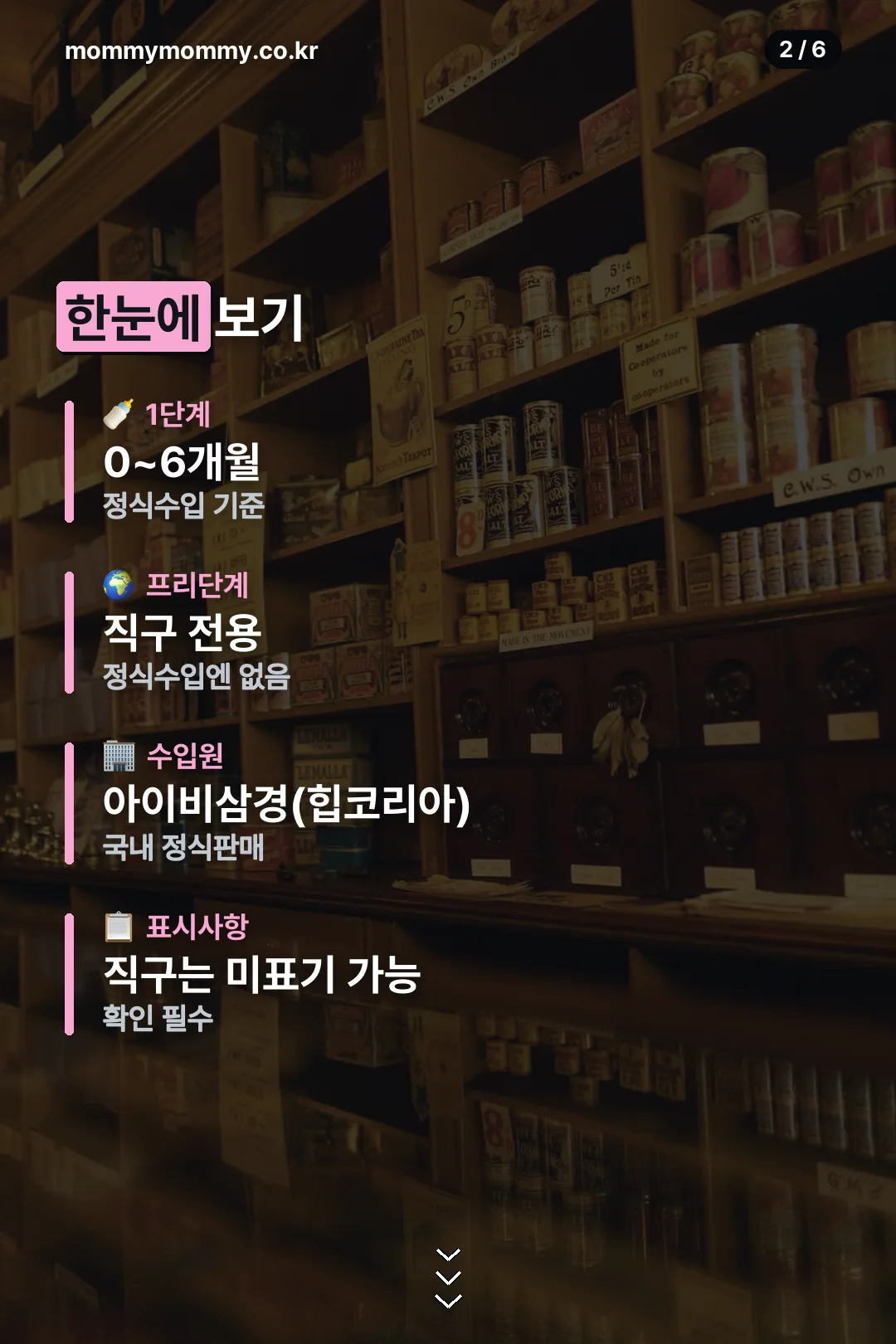 개월수·수입원 요약