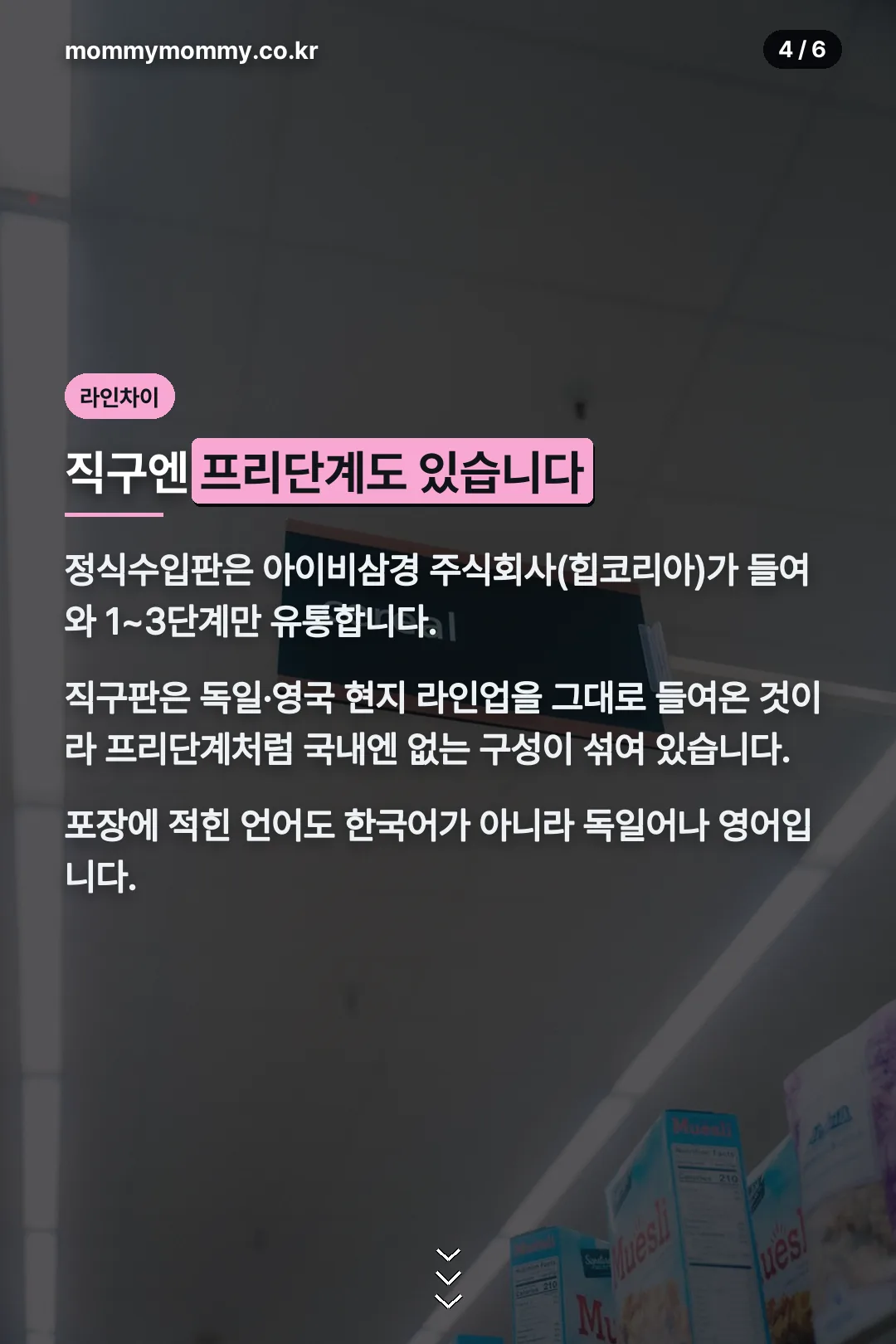 정식수입판과 직구판 차이