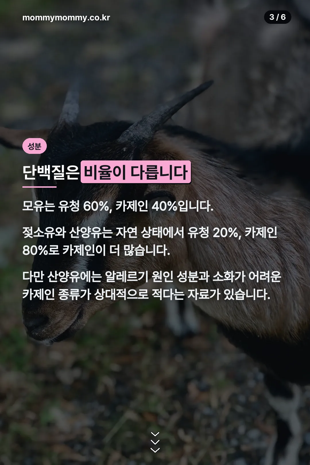 단백질 구성 차이