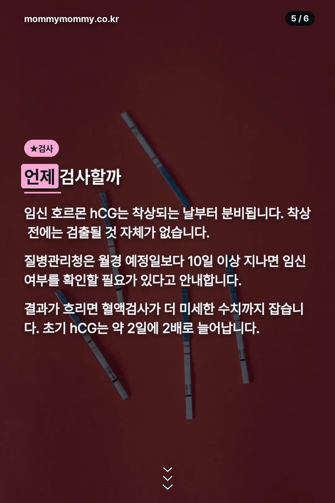 임신 확인 검사 시점