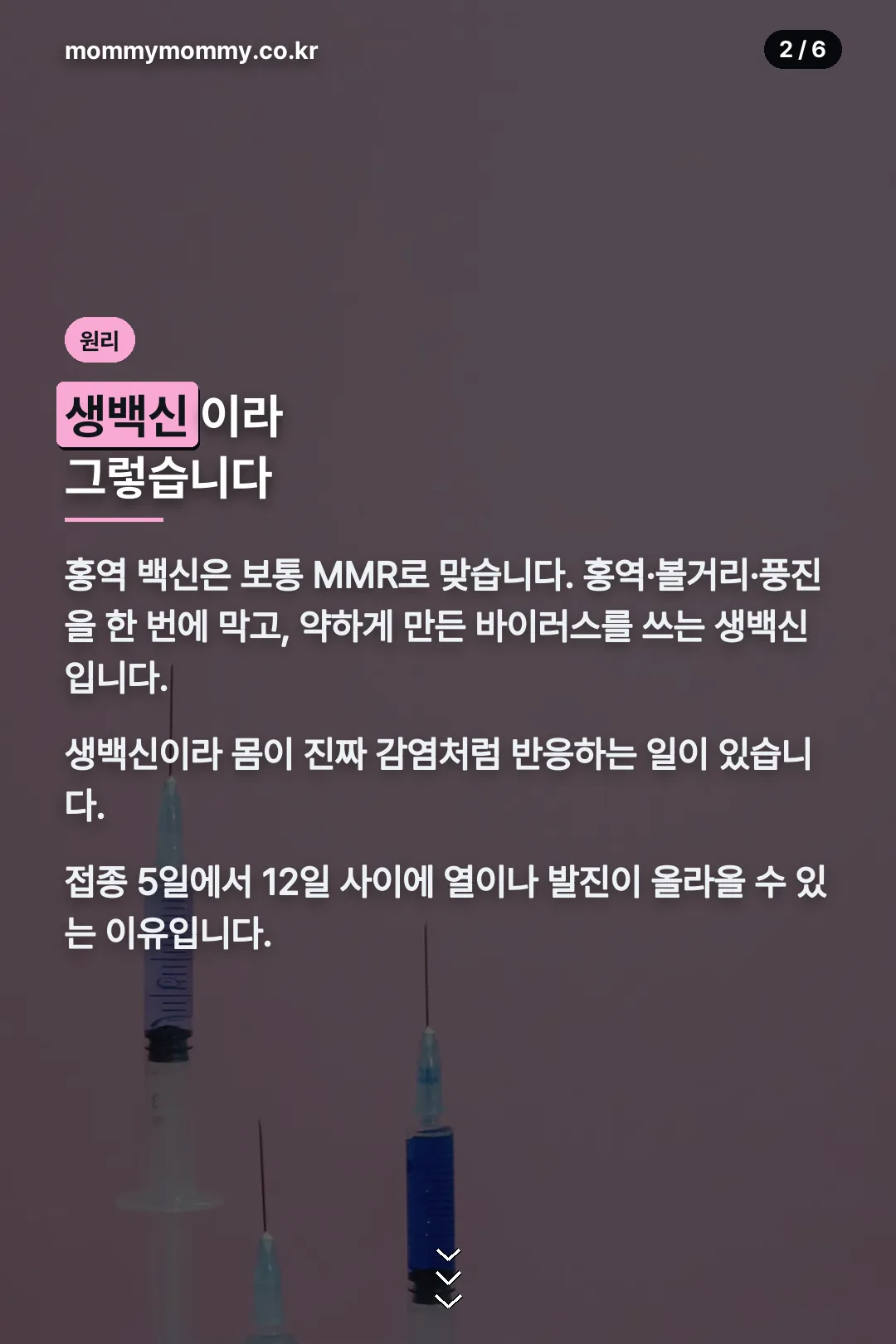 생백신 원리