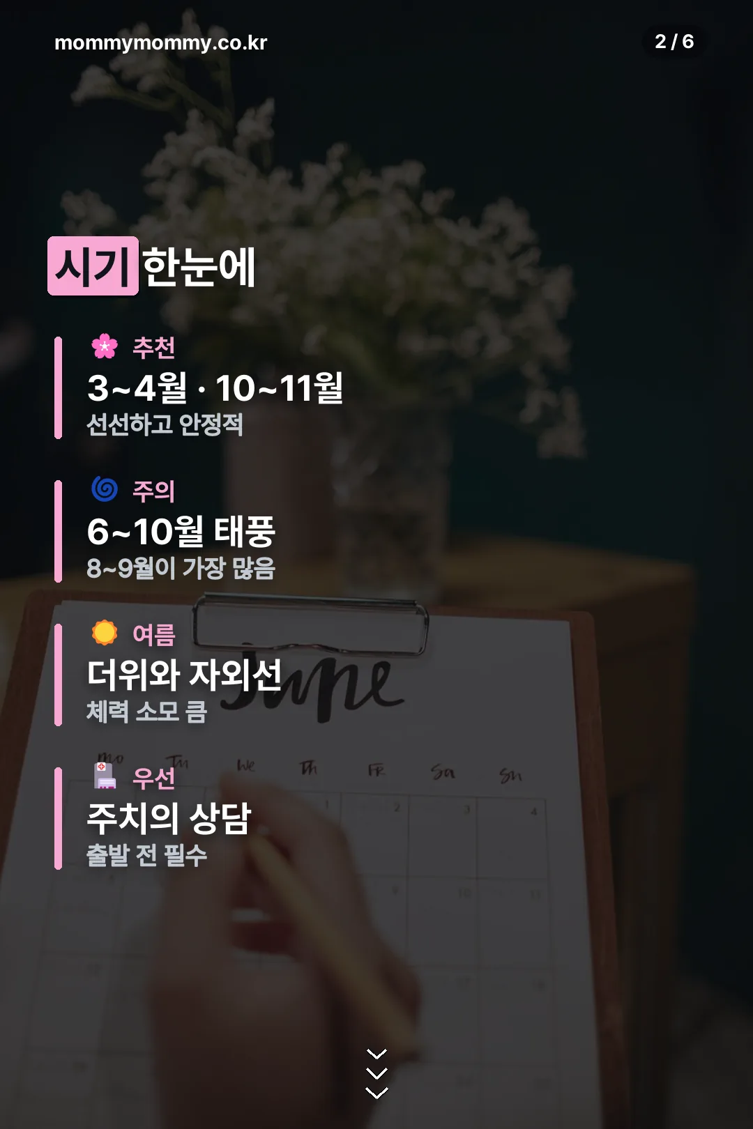 시기 요약