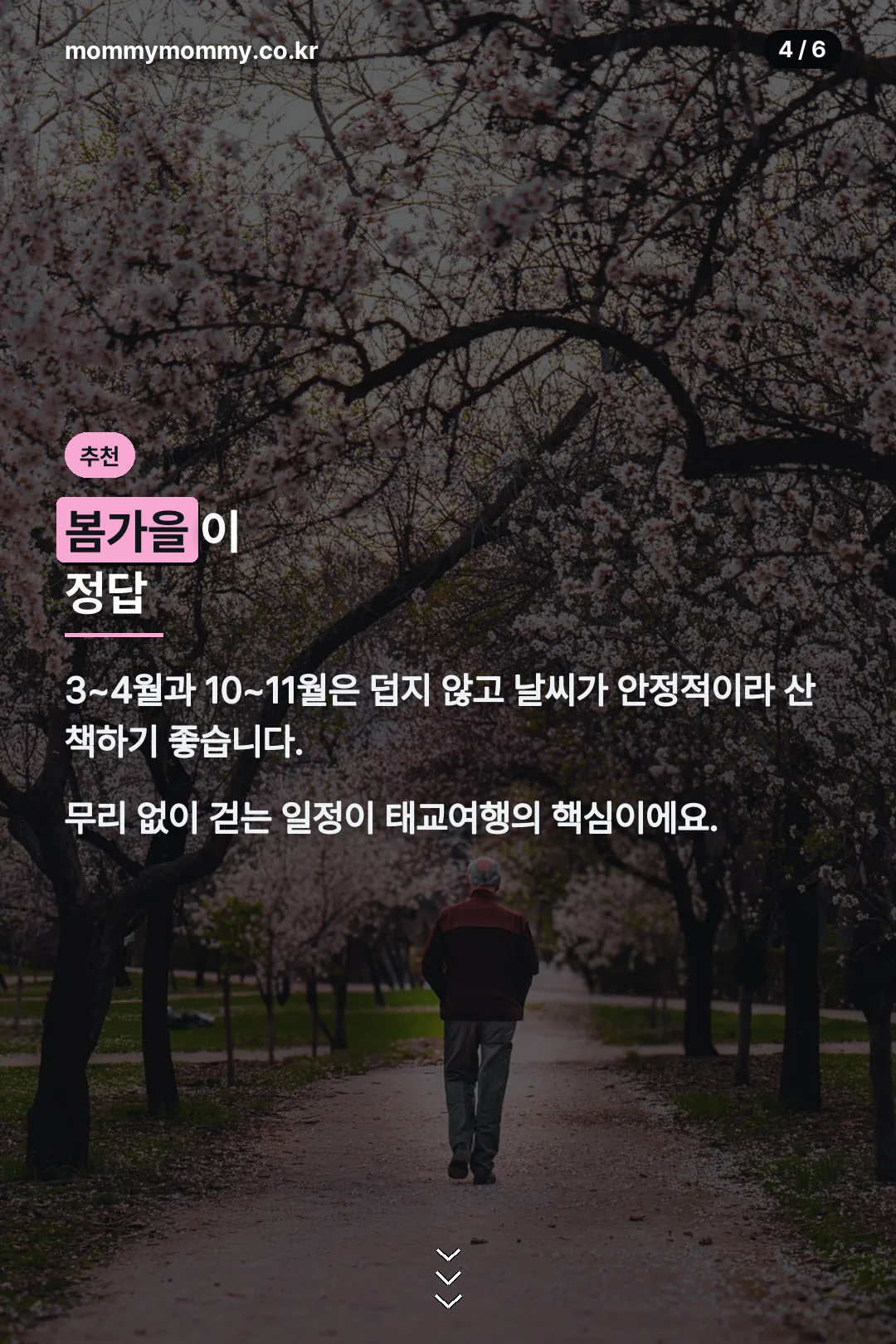 봄가을 추천