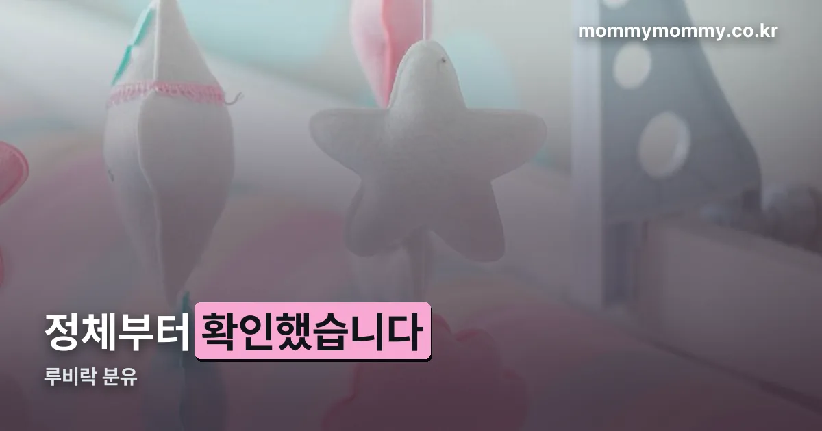 루비락 분유 정리 썸네일