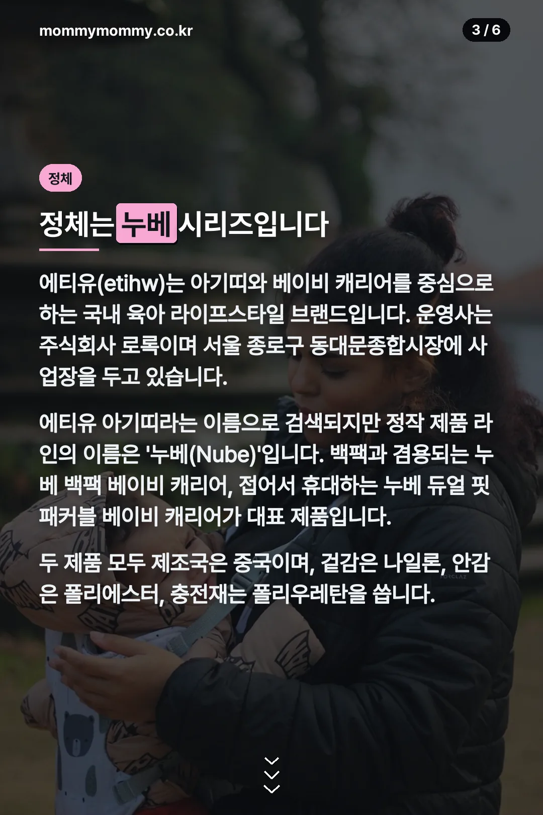 누베 시리즈 정체