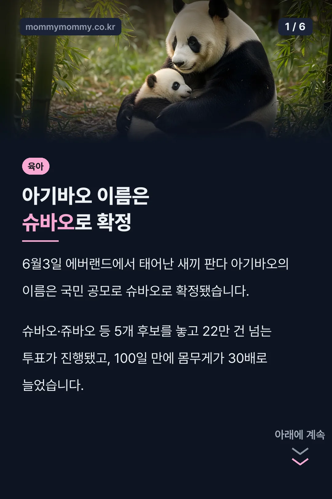 아기바오 이름은 슈바오로 확정
