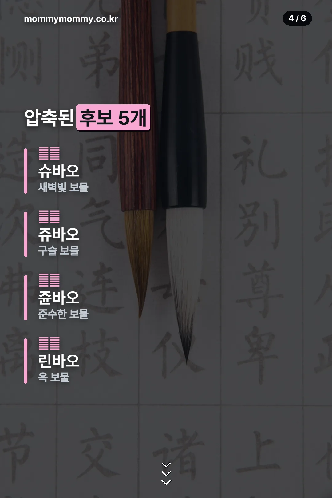 압축된 후보 5개