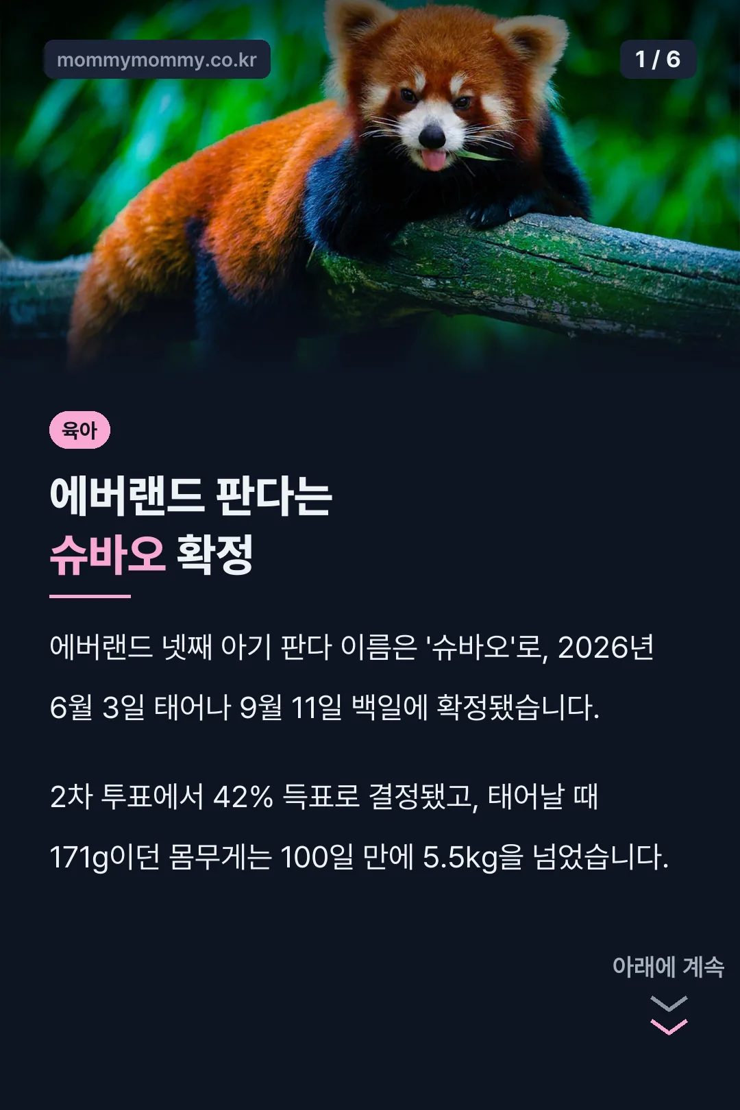 에버랜드 판다는 슈바오 확정