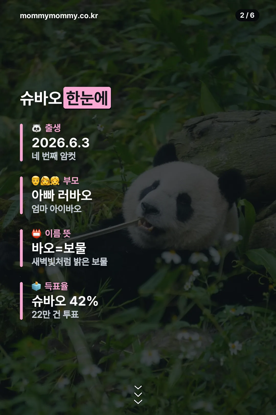 슈바오 정보 한눈에 보기