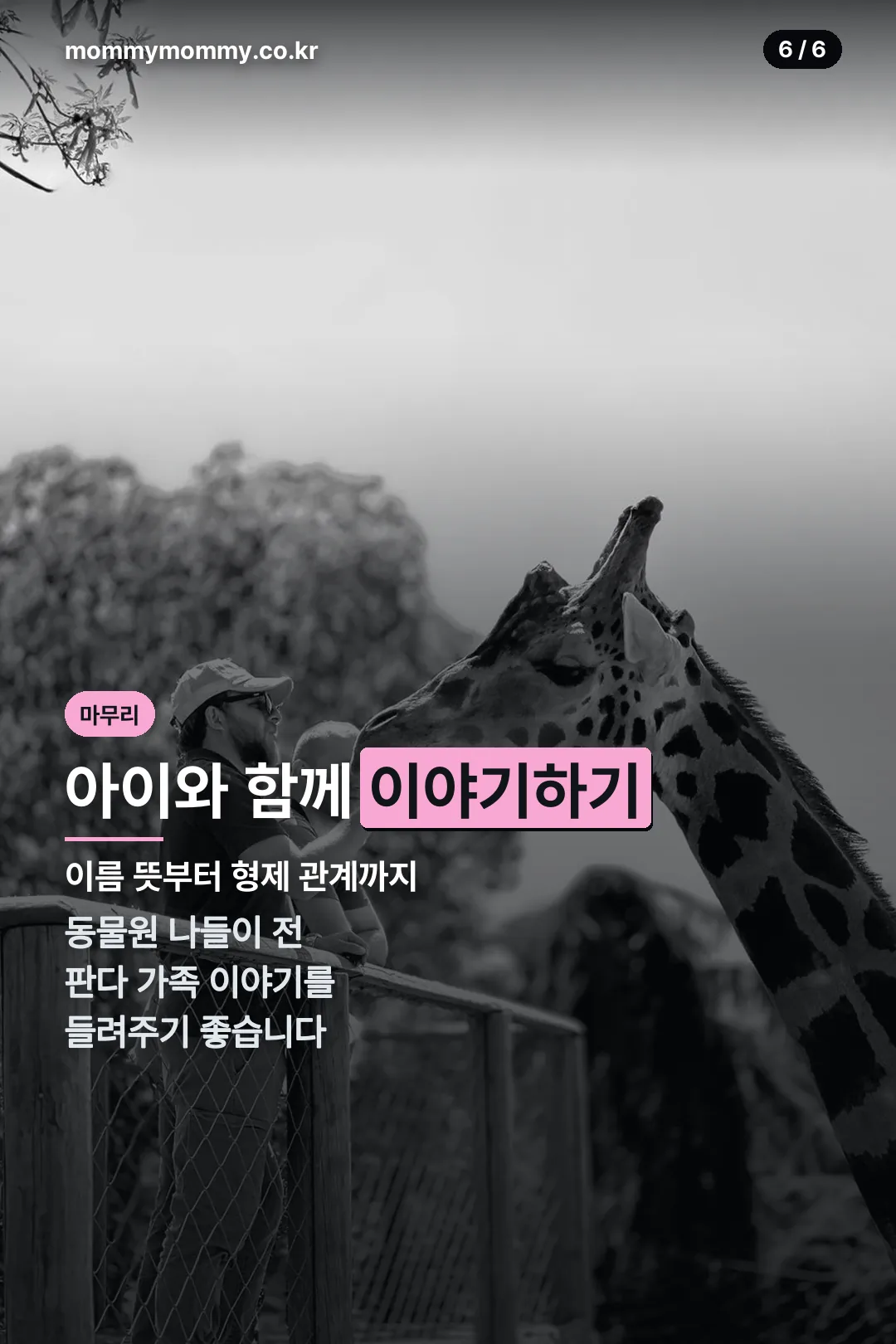 아이와 함께 이야기하기