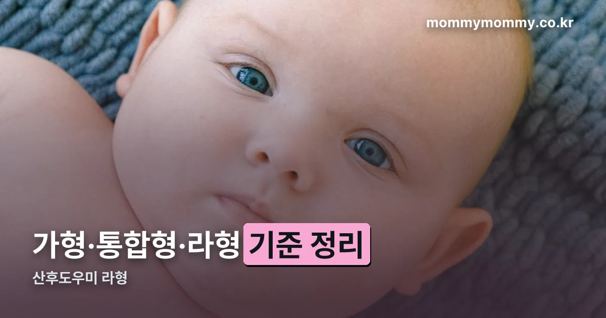 산후도우미 라형 정리 썸네일