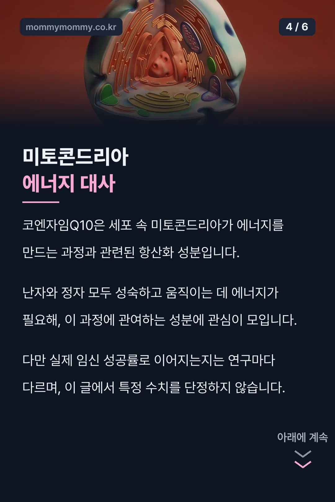 미토콘드리아 에너지 대사 설명
