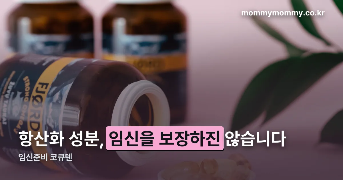 임신준비 코큐텐 정리 썸네일