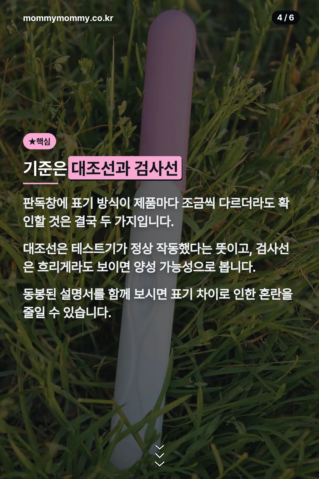 대조선 검사선 기준