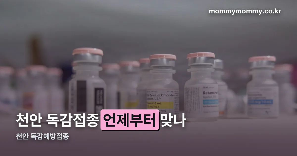 천안 독감예방접종 정리 썸네일