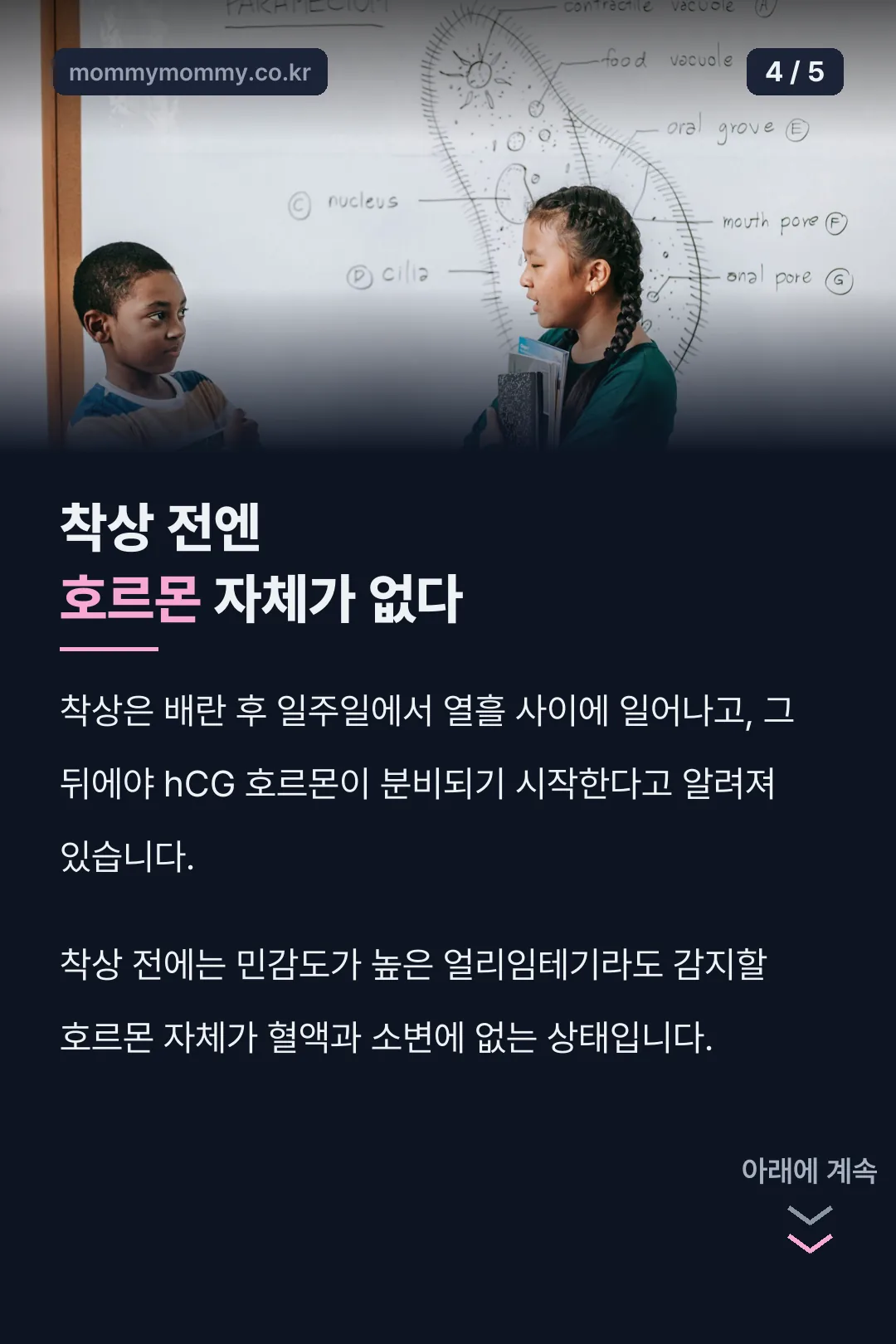 착상과 호르몬 분비 원리
