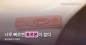얼리임테기 사용법 — 시기부터 지켜야 헛걸음이 없습니다