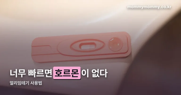 얼리임테기 사용법 정리 썸네일