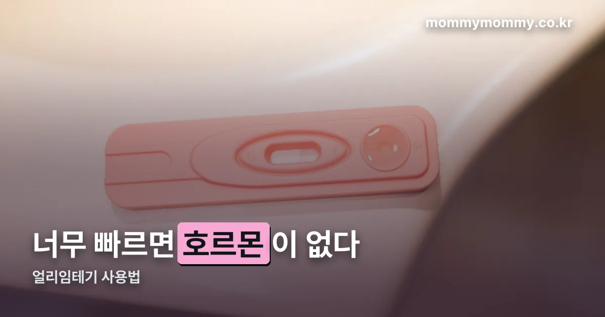 얼리임테기 사용법 정리 썸네일
