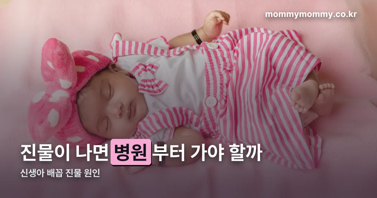 신생아 배꼽 진물 정리 썸네일