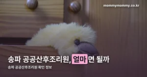 송파 공공산후조리원 — 요금·신청 자격·접수 시기 한번에