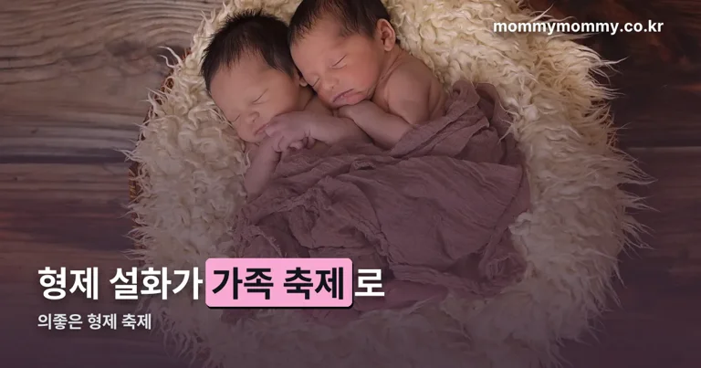 의좋은 형제 축제 정리 썸네일